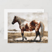 Pinto Horse Waterverf Briefkaart (Voorkant / Achterkant)