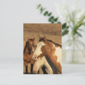 Pinto in Herd Briefkaart (Staand voorkant)