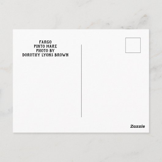 Pinto-kaart voor paarden briefkaart (Achterkant)