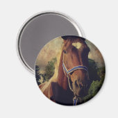 Pinto Magneet (Voorkant / Achterkant)