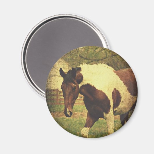 Pinto Magneet (Voorkant / Achterkant)