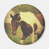 Pinto Magneet (Voorkant)