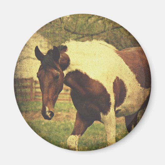 Pinto Magneet (Voorkant)