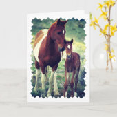 Pinto merrie en veulen, verjaardag kaart (Gele Bloem)