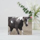Pinto Mini Horse Liberty Class op de County Fair Briefkaart (Staand voorkant)