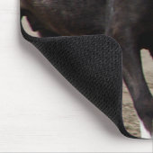 Pinto Mini Horse Muismat (Hoek)