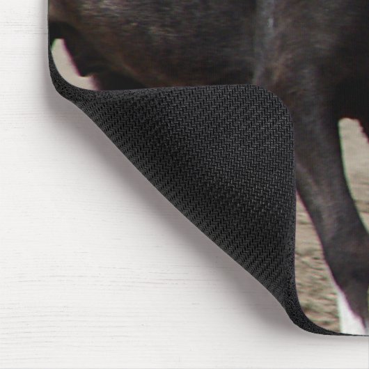 Pinto Mini Horse Muismat (Hoek)