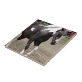 Pinto Mini Horse Tegeltje (Zijkant)