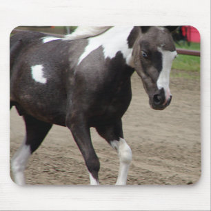 Pinto Mini Paard Muismat