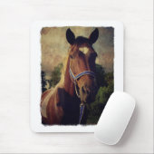 Pinto Muismat (Met muis)