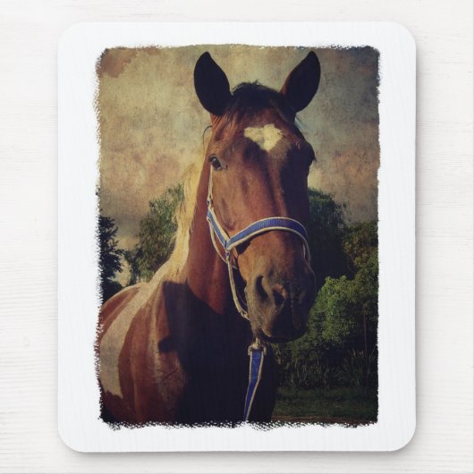 Pinto Muismat (Voorkant)