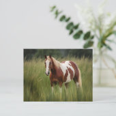 Pinto Mustang Paard in hoog gras Briefkaart (Staand voorkant)