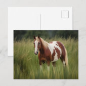 Pinto Mustang Paard in hoog gras Briefkaart (Voorkant / Achterkant)