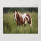 Pinto Mustang Paard in hoog gras Briefkaart (Voorkant)