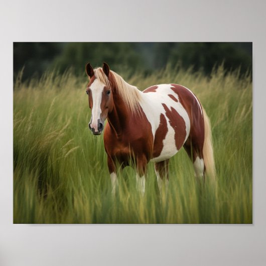 Pinto Mustang Paard in hoog gras Poster (Voorkant)