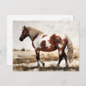 Pinto Mustang Paardenschilderij Briefkaart (Voorkant / Achterkant)