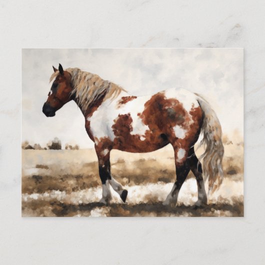 Pinto Mustang Paardenschilderij Briefkaart (Voorkant)