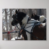 Pinto-ontwerpteam Poster (Voorkant)