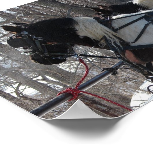 Pinto-ontwerpteam Poster (Hoek)