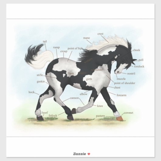 Pinto Overo Paard Educatieve Equine Anatomie Grafi Sticker (Vel)