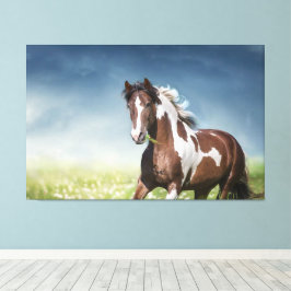 Pinto Paard galoppeert door Bloemrijke Lente Meado Canvas Afdruk
