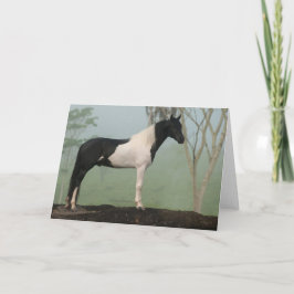 Pinto Paard Kaart