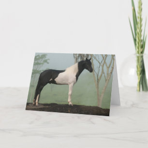Pinto Paard Kaart
