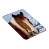 Pinto paard Mount Moran in de winter Magneet (Rechterzijde)