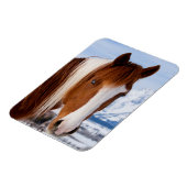 Pinto paard Mount Moran in de winter Magneet (Linkerzijde)