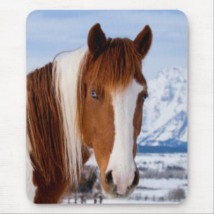 Pinto paard Mount Moran in de winter Muismat