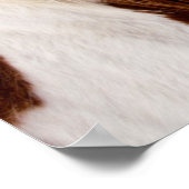 Pinto paard Mount Moran in de winter Poster (Hoek)
