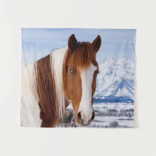 Pinto paard Mount Moran in de winter Wandkleed (Voorkant (horizontaal))