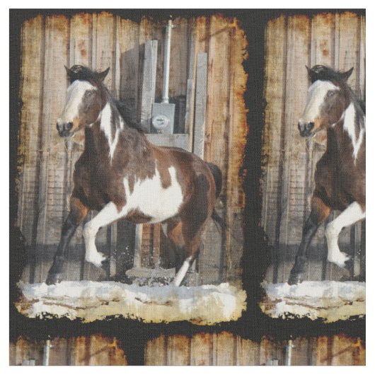 Pinto Paard op de vlucht Stof (Close Up)
