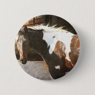 Pinto paard ronde button 5,7 cm