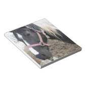 Pinto-paard verven notitieblok (Schuin)