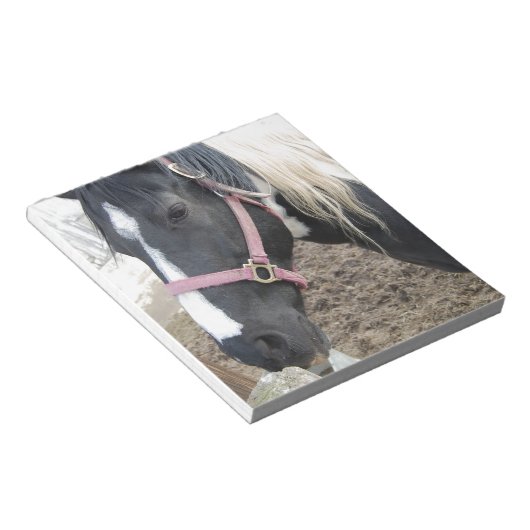 Pinto-paard verven notitieblok (Schuin)