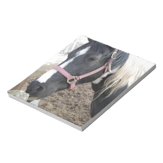 Pinto-paard verven notitieblok (Linkerzijde)