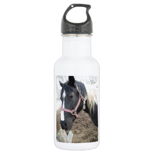 Pinto-paard verven waterfles