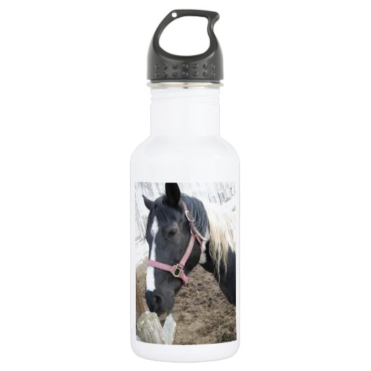 Pinto-paard verven waterfles  (Voorkant)