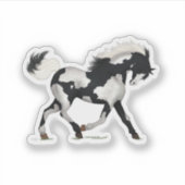 PInto Paardenverf Pony Piebald Overo Ruitersport Sticker (Voorkant)