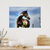 Pinto Paint & Clouds Ranch Horse Equine Photo Poster (Keuken)