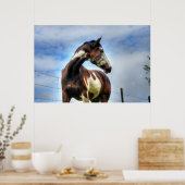 Pinto Paint & Clouds Ranch Horse Equine Photo Poster (Keuken)