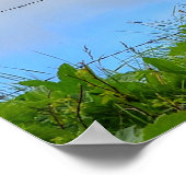 Pinto Paint & Clouds Ranch Horse w Poem Foto Poster (Hoek)