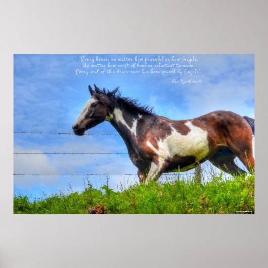 Pinto Paint & Clouds Ranch Horse w Poem Foto Poster (Voorkant)