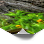 Pinto Paint, Fenceline & Clouds Ranch Horse Photo Poster (Hoek)