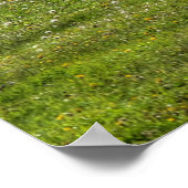 Pinto Paint & Herd Ranch Horse Equine Foto Poster (Hoek)