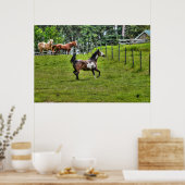 Pinto Paint & Herd Ranch Horse Equine Foto Poster (Keuken)