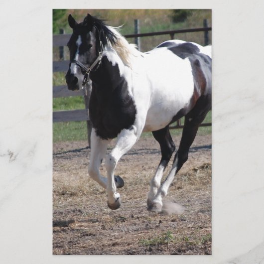 Pinto Paint Horse Briefpapier (Voorkant)