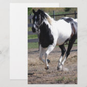 Pinto Paint Horse Briefpapier (Voorkant / Achterkant)