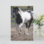 Pinto Paint Horse Briefpapier (Staand voorkant)